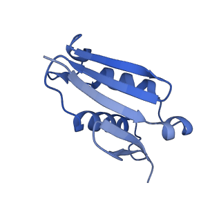 9240_6mtd_U_v1-0
Rabbit 80S ribosome with eEF2 and SERBP1 (unrotated state with 40S head swivel)