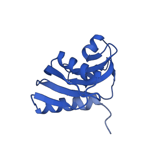 9240_6mtd_WW_v1-0
Rabbit 80S ribosome with eEF2 and SERBP1 (unrotated state with 40S head swivel)