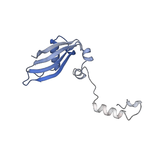 9240_6mtd_YY_v1-0
Rabbit 80S ribosome with eEF2 and SERBP1 (unrotated state with 40S head swivel)