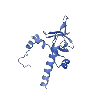 9240_6mtd_Y_v1-0
Rabbit 80S ribosome with eEF2 and SERBP1 (unrotated state with 40S head swivel)