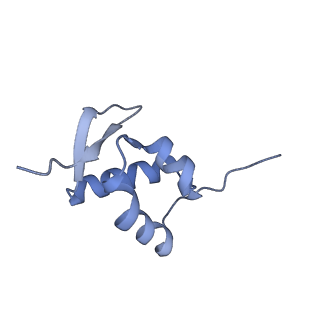 9240_6mtd_ZZ_v1-0
Rabbit 80S ribosome with eEF2 and SERBP1 (unrotated state with 40S head swivel)