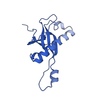 9240_6mtd_Z_v1-0
Rabbit 80S ribosome with eEF2 and SERBP1 (unrotated state with 40S head swivel)
