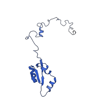 9240_6mtd_a_v1-0
Rabbit 80S ribosome with eEF2 and SERBP1 (unrotated state with 40S head swivel)