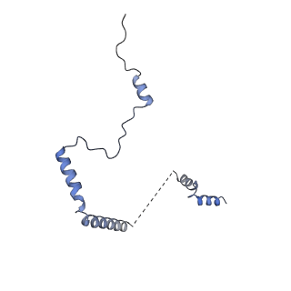 9240_6mtd_b_v1-0
Rabbit 80S ribosome with eEF2 and SERBP1 (unrotated state with 40S head swivel)