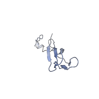 9240_6mtd_bb_v1-0
Rabbit 80S ribosome with eEF2 and SERBP1 (unrotated state with 40S head swivel)