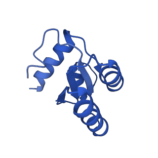 9240_6mtd_c_v1-0
Rabbit 80S ribosome with eEF2 and SERBP1 (unrotated state with 40S head swivel)