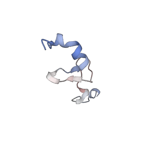 9240_6mtd_dd_v1-0
Rabbit 80S ribosome with eEF2 and SERBP1 (unrotated state with 40S head swivel)