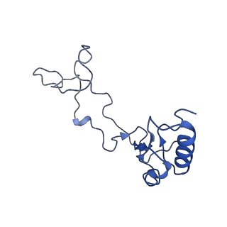 9240_6mtd_e_v1-0
Rabbit 80S ribosome with eEF2 and SERBP1 (unrotated state with 40S head swivel)