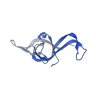 9240_6mtd_f_v1-0
Rabbit 80S ribosome with eEF2 and SERBP1 (unrotated state with 40S head swivel)