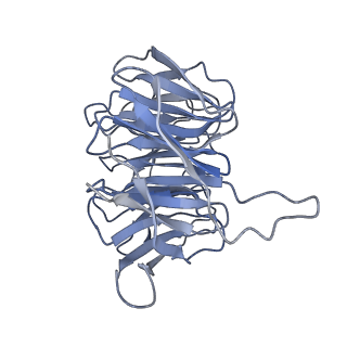 9240_6mtd_gg_v1-0
Rabbit 80S ribosome with eEF2 and SERBP1 (unrotated state with 40S head swivel)