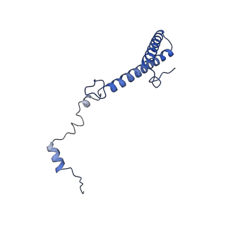 9240_6mtd_h_v1-0
Rabbit 80S ribosome with eEF2 and SERBP1 (unrotated state with 40S head swivel)