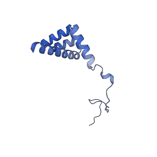 9240_6mtd_i_v1-0
Rabbit 80S ribosome with eEF2 and SERBP1 (unrotated state with 40S head swivel)