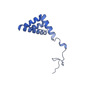 9240_6mtd_i_v2-0
Rabbit 80S ribosome with eEF2 and SERBP1 (unrotated state with 40S head swivel)