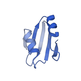 9240_6mtd_k_v1-0
Rabbit 80S ribosome with eEF2 and SERBP1 (unrotated state with 40S head swivel)