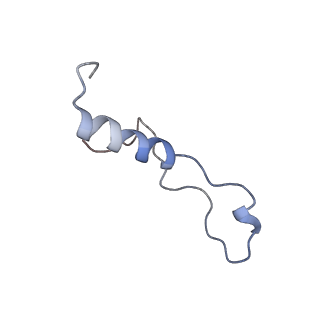 9240_6mtd_l_v1-0
Rabbit 80S ribosome with eEF2 and SERBP1 (unrotated state with 40S head swivel)