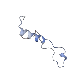 9240_6mtd_l_v2-0
Rabbit 80S ribosome with eEF2 and SERBP1 (unrotated state with 40S head swivel)