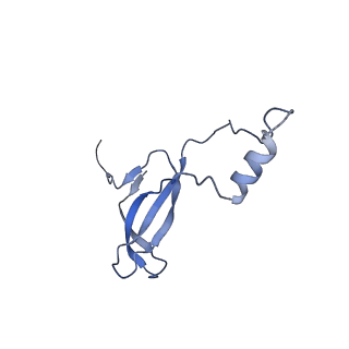9240_6mtd_o_v1-0
Rabbit 80S ribosome with eEF2 and SERBP1 (unrotated state with 40S head swivel)