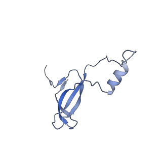9240_6mtd_o_v2-0
Rabbit 80S ribosome with eEF2 and SERBP1 (unrotated state with 40S head swivel)