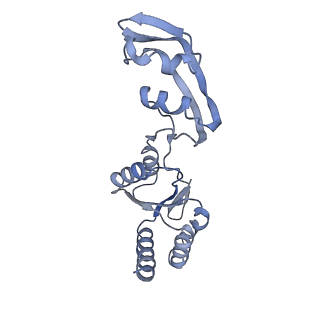 9240_6mtd_s_v1-0
Rabbit 80S ribosome with eEF2 and SERBP1 (unrotated state with 40S head swivel)