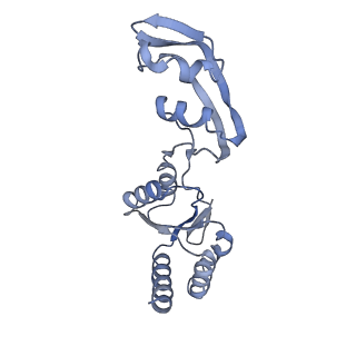 9240_6mtd_s_v2-0
Rabbit 80S ribosome with eEF2 and SERBP1 (unrotated state with 40S head swivel)