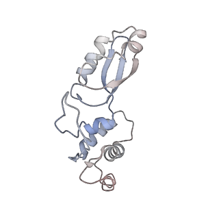 9240_6mtd_t_v1-0
Rabbit 80S ribosome with eEF2 and SERBP1 (unrotated state with 40S head swivel)