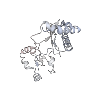 9240_6mtd_u_v1-0
Rabbit 80S ribosome with eEF2 and SERBP1 (unrotated state with 40S head swivel)