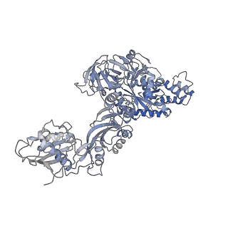 9240_6mtd_v_v1-0
Rabbit 80S ribosome with eEF2 and SERBP1 (unrotated state with 40S head swivel)