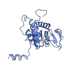 9242_6mte_AA_v1-0
Rabbit 80S ribosome with eEF2 and SERBP1 (rotated state)