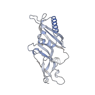 9242_6mte_BB_v1-0
Rabbit 80S ribosome with eEF2 and SERBP1 (rotated state)