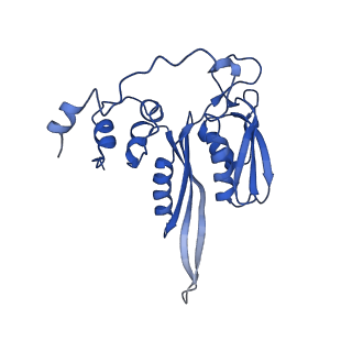 9242_6mte_CC_v1-0
Rabbit 80S ribosome with eEF2 and SERBP1 (rotated state)