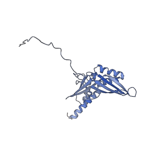 9242_6mte_DD_v1-0
Rabbit 80S ribosome with eEF2 and SERBP1 (rotated state)
