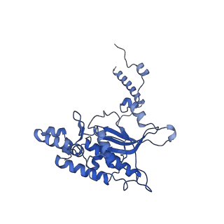 9242_6mte_D_v1-0
Rabbit 80S ribosome with eEF2 and SERBP1 (rotated state)
