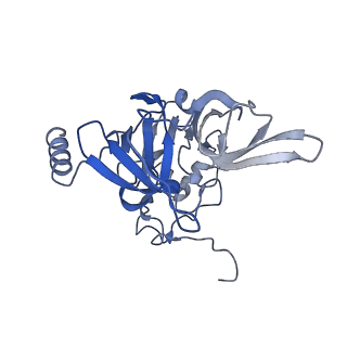 9242_6mte_EE_v1-0
Rabbit 80S ribosome with eEF2 and SERBP1 (rotated state)