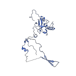 9242_6mte_E_v2-0
Rabbit 80S ribosome with eEF2 and SERBP1 (rotated state)