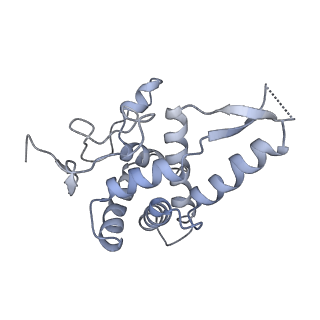 9242_6mte_FF_v1-0
Rabbit 80S ribosome with eEF2 and SERBP1 (rotated state)
