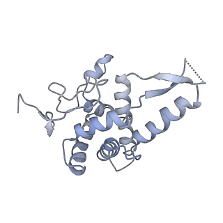 9242_6mte_FF_v2-0
Rabbit 80S ribosome with eEF2 and SERBP1 (rotated state)