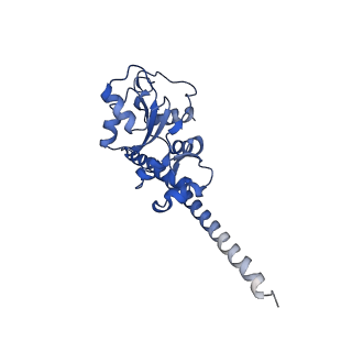 9242_6mte_F_v1-0
Rabbit 80S ribosome with eEF2 and SERBP1 (rotated state)