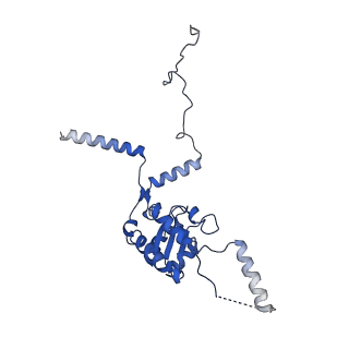 9242_6mte_G_v1-0
Rabbit 80S ribosome with eEF2 and SERBP1 (rotated state)