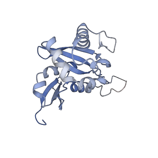 9242_6mte_HH_v1-0
Rabbit 80S ribosome with eEF2 and SERBP1 (rotated state)