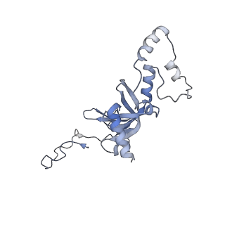 9242_6mte_II_v1-0
Rabbit 80S ribosome with eEF2 and SERBP1 (rotated state)