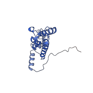 9242_6mte_JJ_v1-0
Rabbit 80S ribosome with eEF2 and SERBP1 (rotated state)