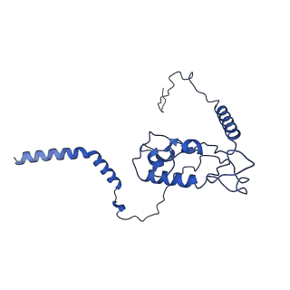 9242_6mte_L_v2-0
Rabbit 80S ribosome with eEF2 and SERBP1 (rotated state)
