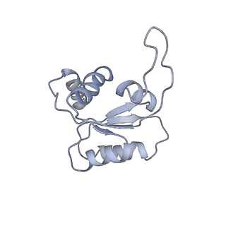 9242_6mte_MM_v1-0
Rabbit 80S ribosome with eEF2 and SERBP1 (rotated state)