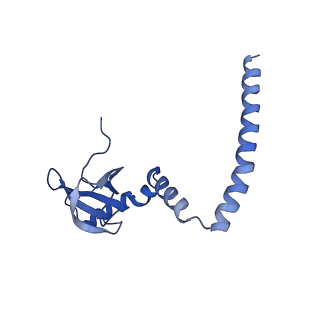 9242_6mte_M_v1-0
Rabbit 80S ribosome with eEF2 and SERBP1 (rotated state)
