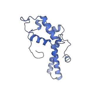 9242_6mte_NN_v1-0
Rabbit 80S ribosome with eEF2 and SERBP1 (rotated state)