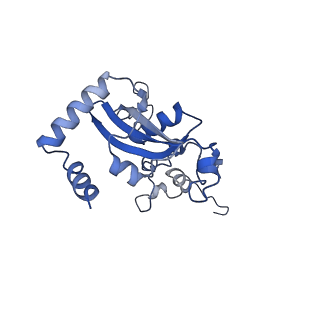 9242_6mte_N_v1-0
Rabbit 80S ribosome with eEF2 and SERBP1 (rotated state)