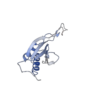 9242_6mte_OO_v1-0
Rabbit 80S ribosome with eEF2 and SERBP1 (rotated state)