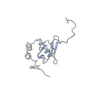 9242_6mte_PP_v1-0
Rabbit 80S ribosome with eEF2 and SERBP1 (rotated state)