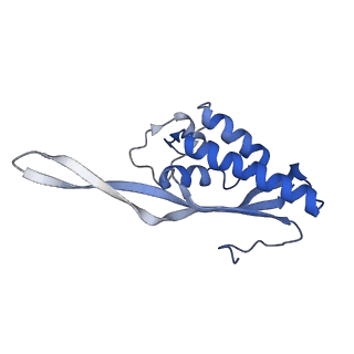 9242_6mte_P_v1-0
Rabbit 80S ribosome with eEF2 and SERBP1 (rotated state)