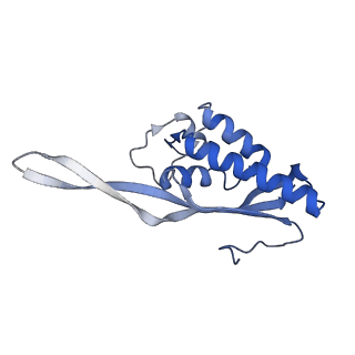 9242_6mte_P_v2-0
Rabbit 80S ribosome with eEF2 and SERBP1 (rotated state)